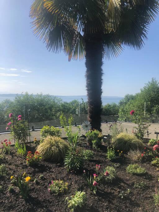 Romantic Spacious With Salish Sea & Mountain Views At Luxury Estate * Seattle